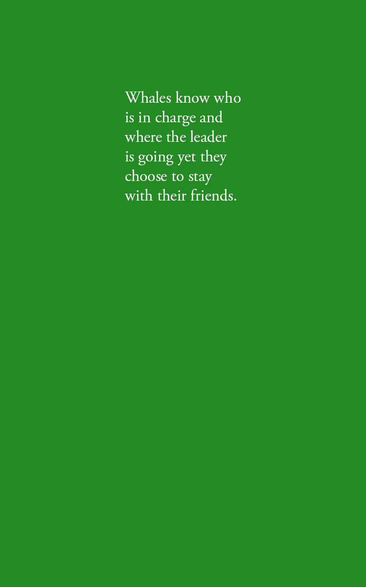 Whales know who is in charge and where the leader is going yet they choose to stay with their friends.