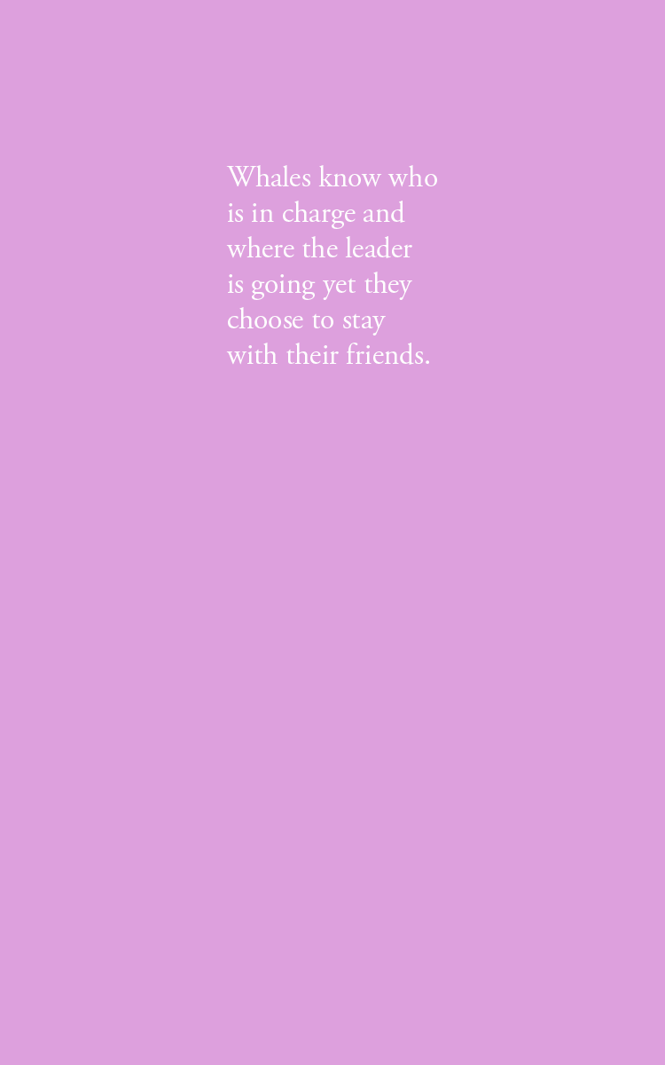 Whales know who is in charge and where the leader is going yet they choose to stay with their friends.